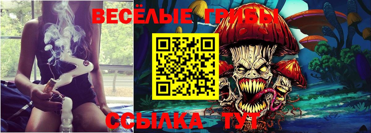 Галлюциногенные грибы Psilocybine cubensis  Вход с VPN  Бердск 
