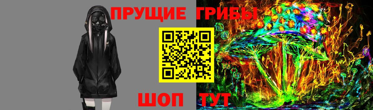 Псилоцибиновые грибы Psilocybine cubensis Бердск